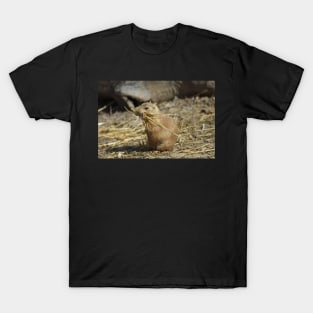 Prairie Dog T-Shirt